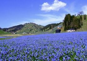 Kadıralak Yayla Turu